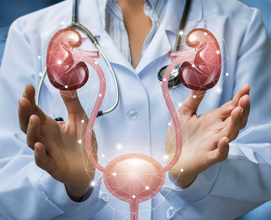 Reconstructive Urology